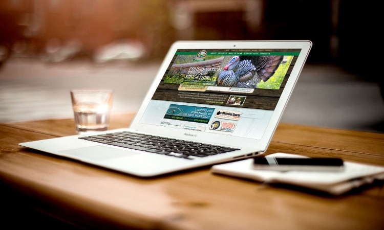 شركة تصميم مواقع الرياض